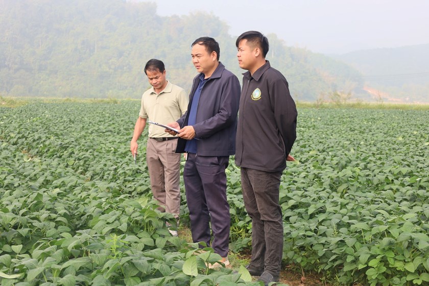 ການນໍາເມືອງຫຼວງນໍ້າທາ ລົງຕິດຕາມຊຸກຍູ້ການປູກພືດລະດູແລ້ງ