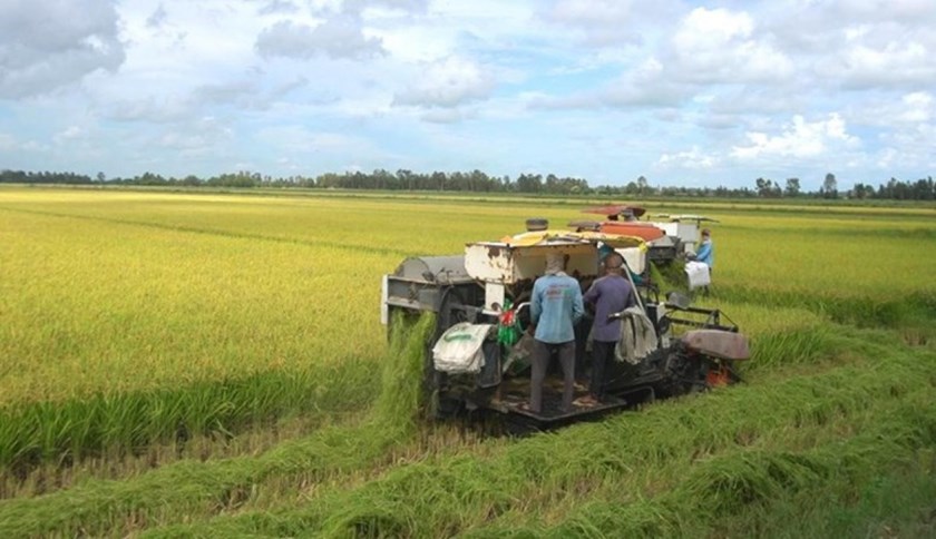 3 ເດືອນຕົ້ນປີ ການສົ່ງອອກຜະລິດຕະພັນກະເສດ ແລະ ສິນໃນນໍ້າ ຂອງຫວຽດນາມ ບັນລຸ 16,69 ຕື້ໂດລາ