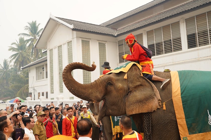 ແຫ່ຊ້າງຮຽງເກີຍ ຢູ່ນະຄອນ ຫຼວງພະບາງປີນີ້ຈັດຂຶ້ນຢ່າງຄຶກຄື້ນ