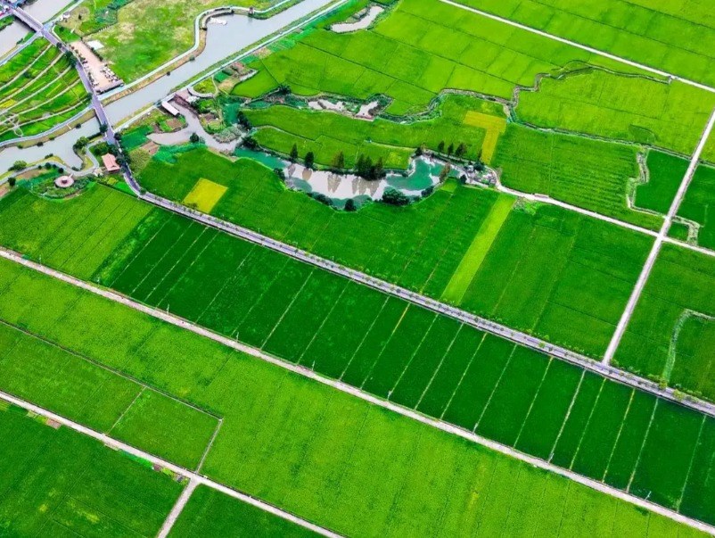 ຈີນ​ ມີ​ເຮືອ​ບິນ​ບໍ່​ມີ​ຄົນ​ຂັບ​ດ້ານ​ກະ​ສິ​ກຳຫຼາຍກວ່າ 300,000 ​ລຳ