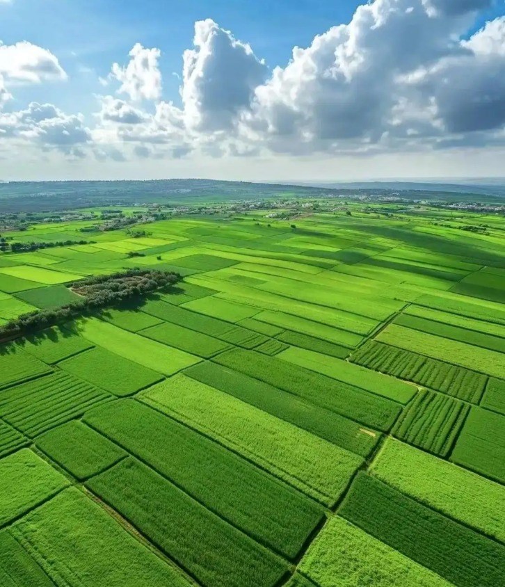 ຈີນ ວາງແຜນເລັ່ງລັດການຫັນກະສິກຳ ແລະ ຊົນນະບົດສູ່ຄວາມທັນສະໄໝ