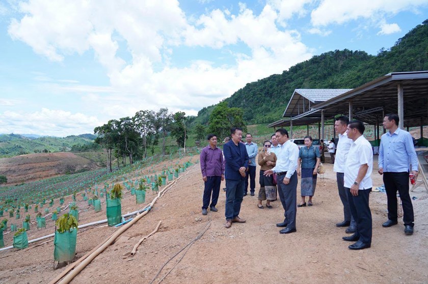 ການນໍາແຂວງຫຼວງພະບາງ ຢ້ຽມຢາມໂຄງການປູກຕົ້ນໂກໂກ້ ຢູ່ເມືອງຈອມເພັດ