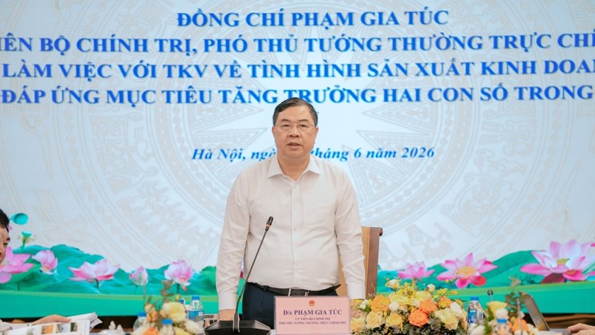 ຫວຽດນາມ ລົງ​ເລິກພັດ​ທະ​ນາ​ອຸດ​ສາ​ຫະ​ກຳ​ປຸງ​ແຕ່ງ ​ແຮ່​ທາດ​ຍຸດ​ທະ​ສາດ