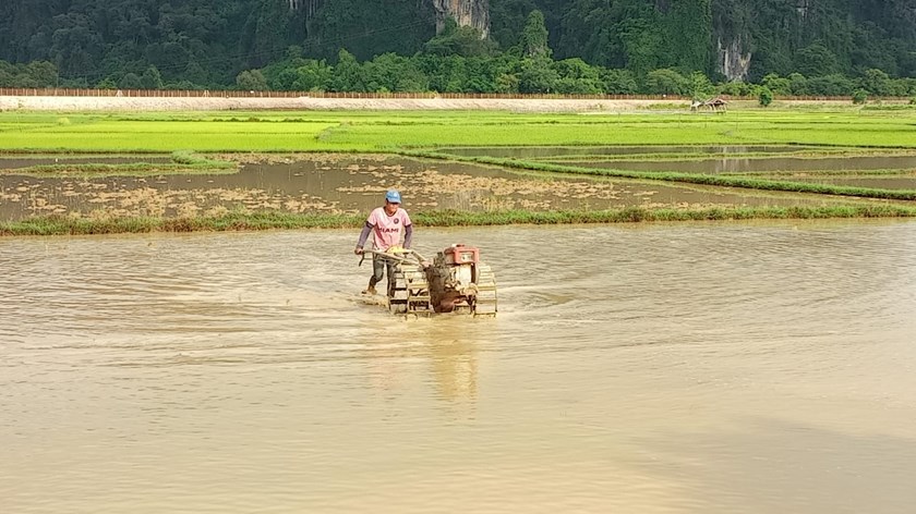 ຄໍາມ່ວນປູກເຂົ້ານາປີສຳ​ເລັດແລ້ວ 54%
