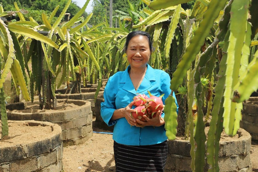 ຈາກ​ການ​ນຳ​ຂັ້ນ​ສູງ​​ຂອງ​ແຂວງກ້າວ​ສູ່​​ຜະ​ລິດກະ​ສິ​ກຳປອດສານພິດ ຫຼັງ​ບຳ​ນານ