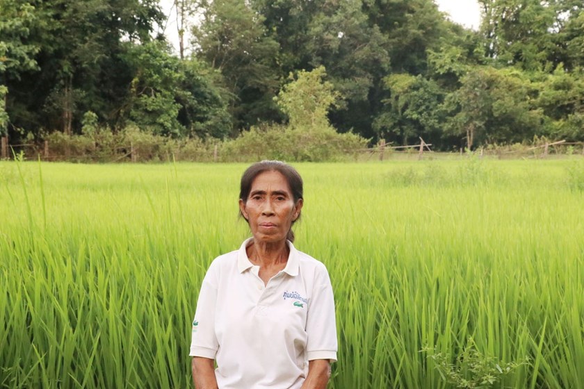 ຈາກຄອບຄົວທຸກຍາກ ສູ່ຄອບຄົວມີລາຍຮັບ ແລະ ເພິ່ງພາຕົນເອງ ດ້ວຍການປູກເຂົ້າ