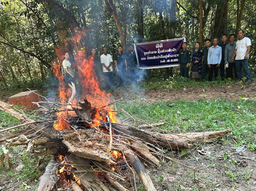 ອັດຕະປື ທຳລາຍຊິ້ນສ່ວນສັດປ່າ ພ້ອມປ່ອຍສັດປ່າ ທີ່ຍັງມີຊີວິດຄືນສູ່ທຳມະຊາດ