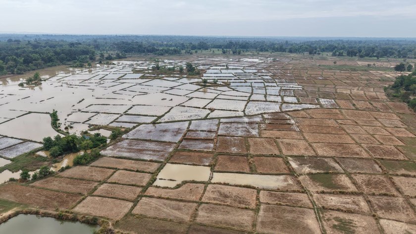 ເນື້ອທີ່ນາປີ ເມືອງເຊບັ້ງໄຟ ຖືກນໍ້າຖ້ວມເສຍຫາຍກວ່າ 3,000 ເຮັກຕາ