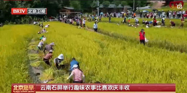 ເມືອງສືຜິງ ແຂວງຢຸນນານ ຈັດກິດຈະກຳແຂ່ງຂັນ ກ່ຽວກັບກະສິກໍາ