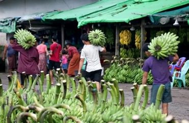 ມຽນມາ ກຽມໃຊ້ລະບົບປະກັນຜົນຜະລິດກະສິກຳ