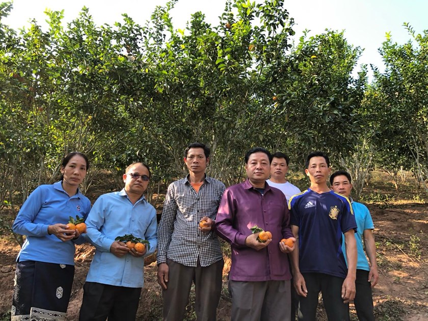 ຄອບຄົວຕົວແບບປູກໝາກກ້ຽງຂາຍ ອາດເປັນແຮງຈູງໃຈໃຫ້ຊາວບ້ານແກ່ງ