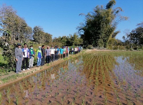 ການພັດທະນາໂຄ່ງລ່າງຊົນນະບົດ ພາກເໜືອ ຈັດຕັ້ງປະຕິບັດສໍາເລັດ 100%