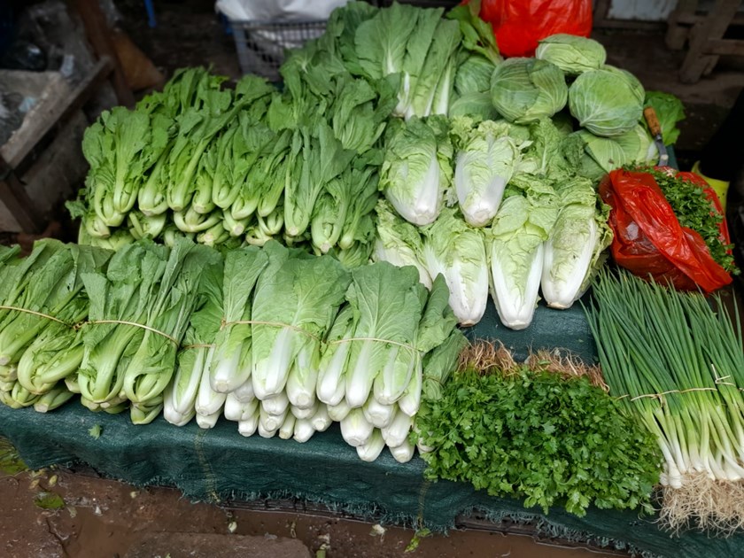 ທົ່ວປະເທດມີກຸ່ມຜະລິດພືດຜັກ 1.880 ກຸ່ມ ສາມາດສະໜອງຕາມຄວາມຕ້ອງການຂອງຜູ້ບໍລິໂພກ