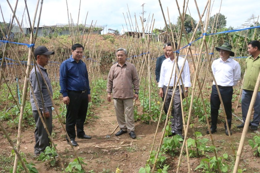 ຮອງເຈົ້າແຂວງຜົ້ງສາລີຊຸກຍູ້ບັນດາກິດຈະການທີ່ຈັດຕັ້ງປະຕິບັດຢູ່ເມືອງບຸນເໜືອ